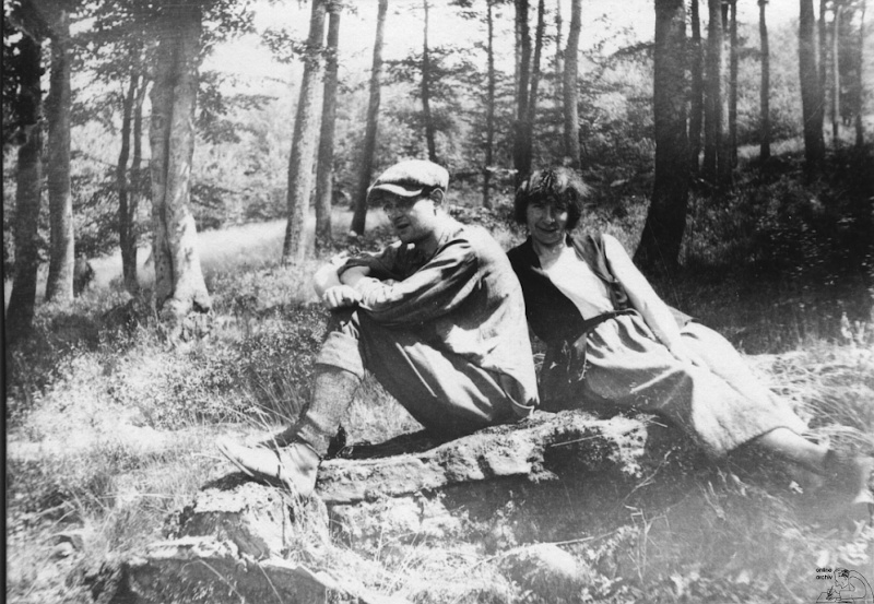 Rast im Wald